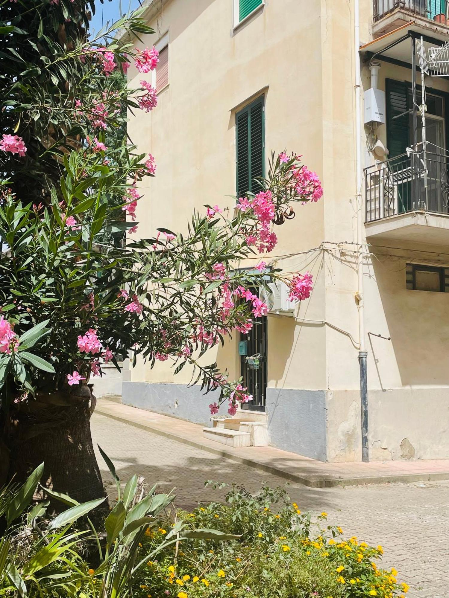 Your Temporary Home - City Center Messina Exterior photo
